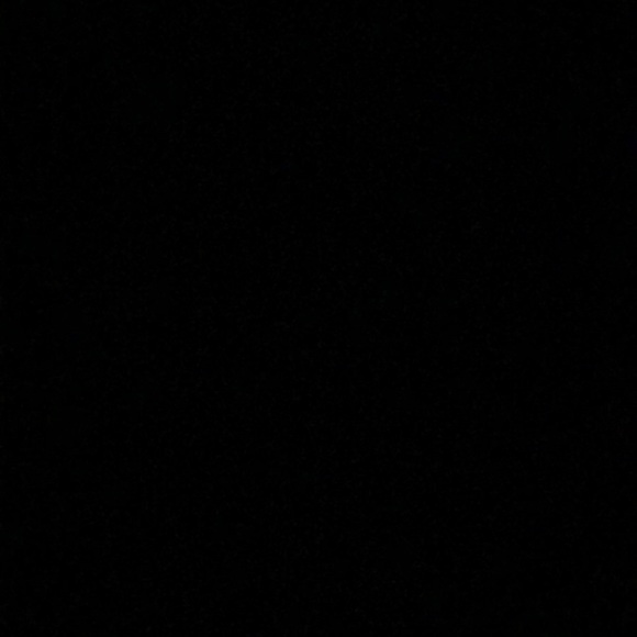 Meet your Posher, Haley - Picture 1 of 1